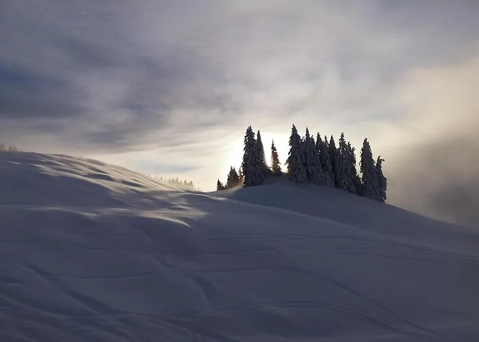 Poelvenblick 아파트 솔