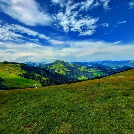 Poelvenblick *