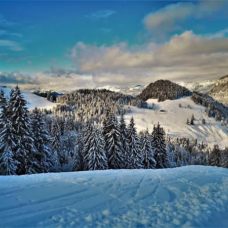 Apartment Poelvenblick